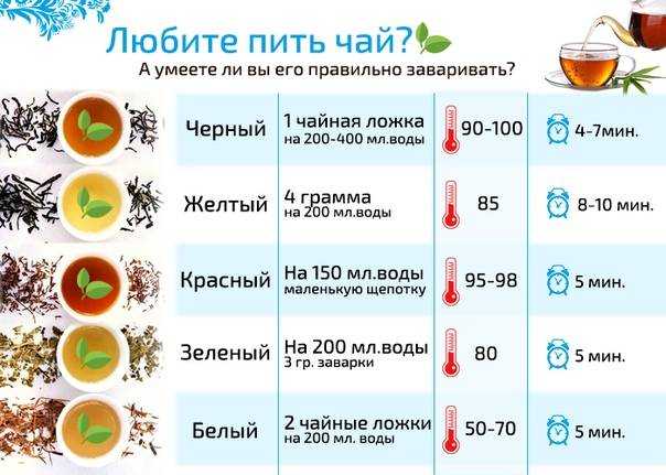 Виды чая - полный гид по сортам, классификациям и полезным свойствам
