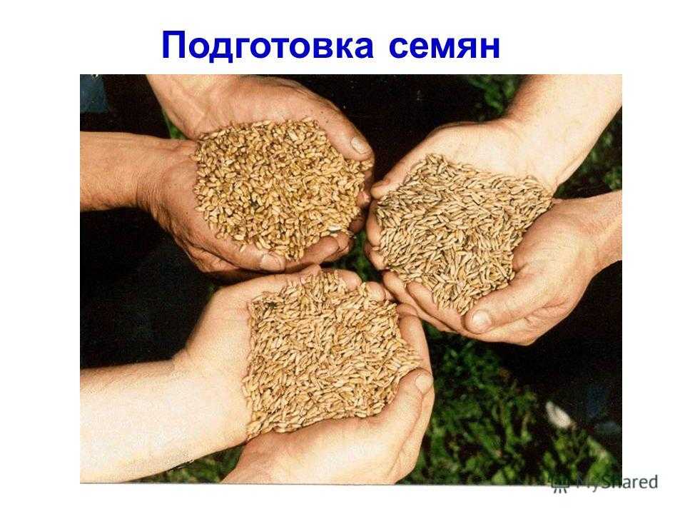 Сообщение механизация сельского хозяйства
