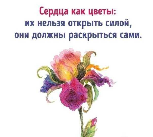Домашние растения, которые спасут от одиночества