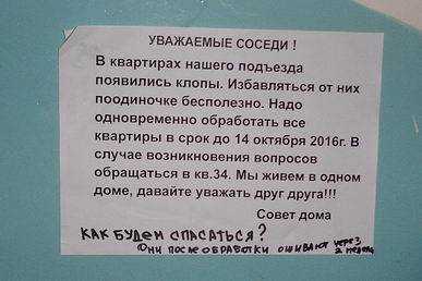 Крыса – священное животное индии