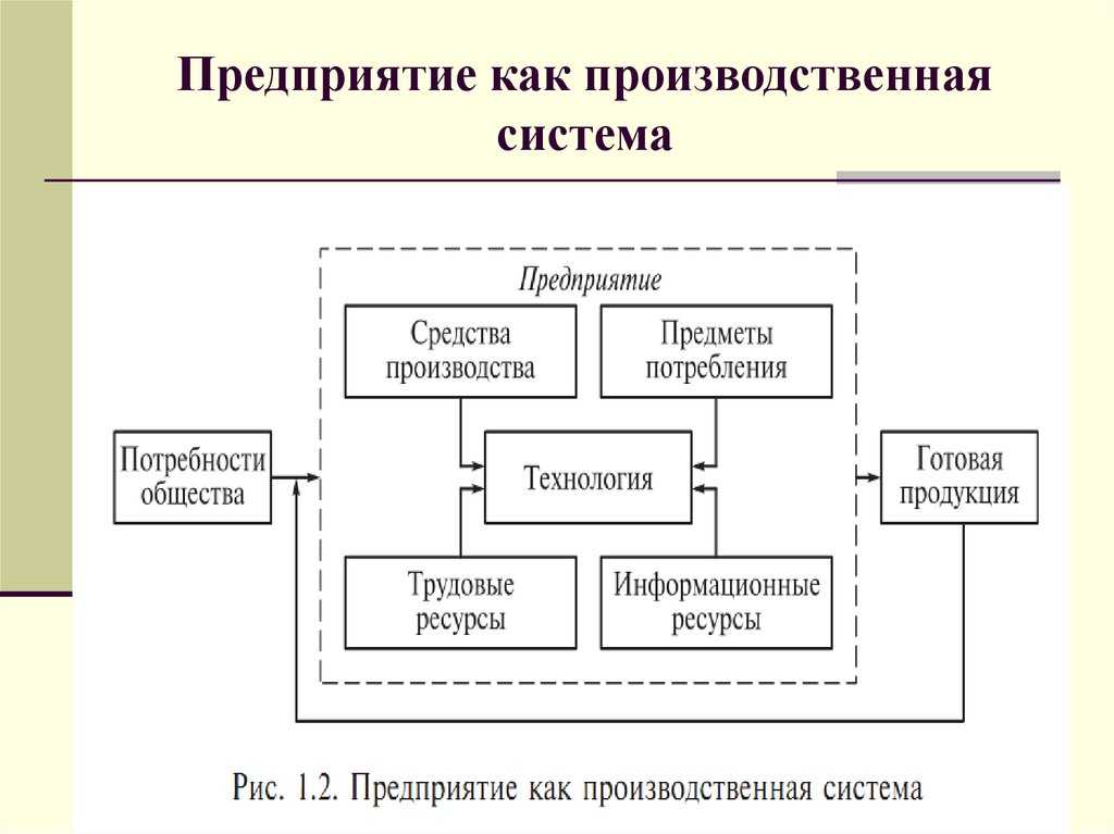 Итоги заседания президиума госсовета: что ждёт школьное образование / skillbox media