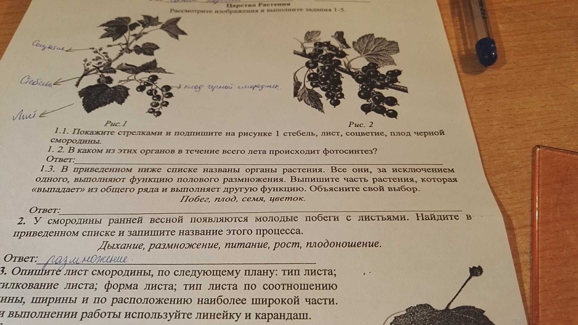 Почему отключают электроэнергию