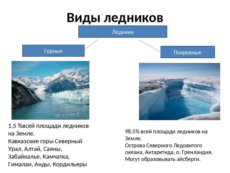 Ледники