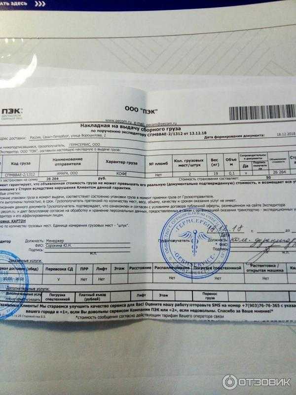Как выбрать между пэк и деловыми линиями: кто лучше и почему?