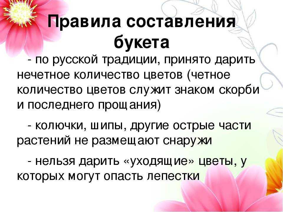 Какой комнатный цветок подарить на день рождения. можно ли дарить цветы в горшках: приметы и реальность