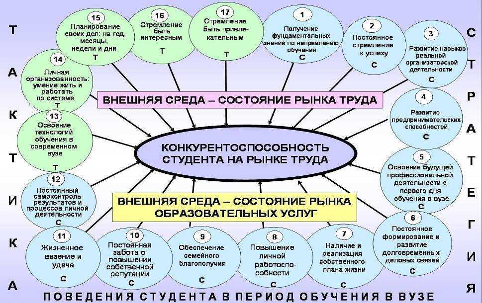 Теоретические основы методики преподавания: изучаем 3 ключевых принципа