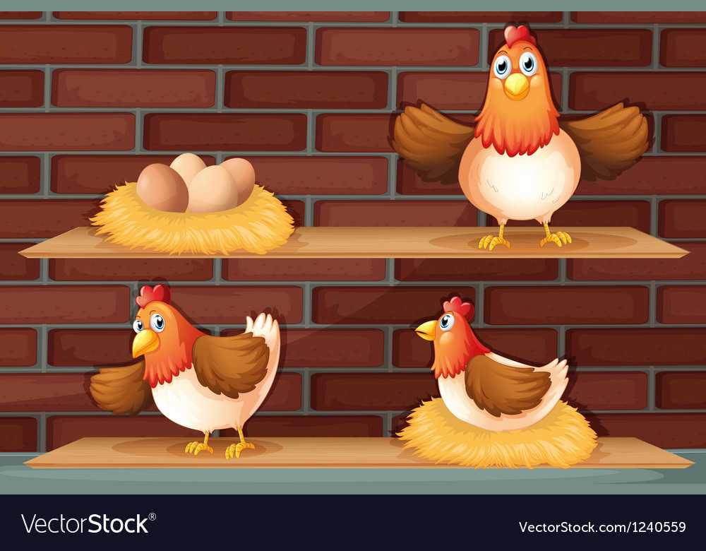 Cornish hen vs chicken: can you tell the difference?
