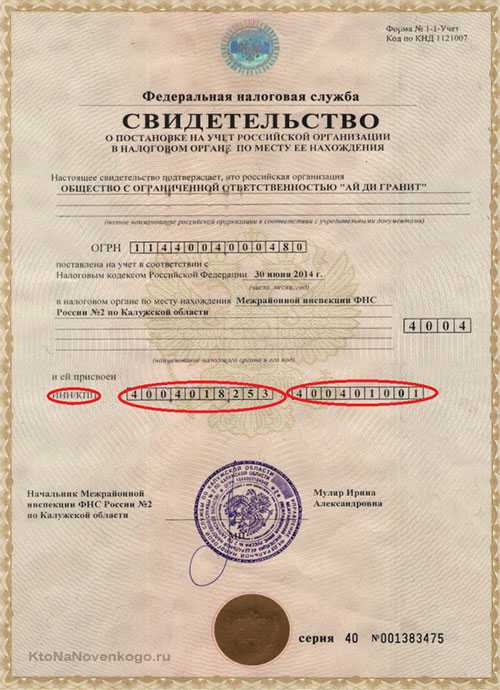 Огрн и егрюл в чем разница