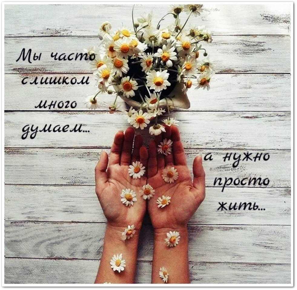 Реферат на тему цветы в нашей жизни