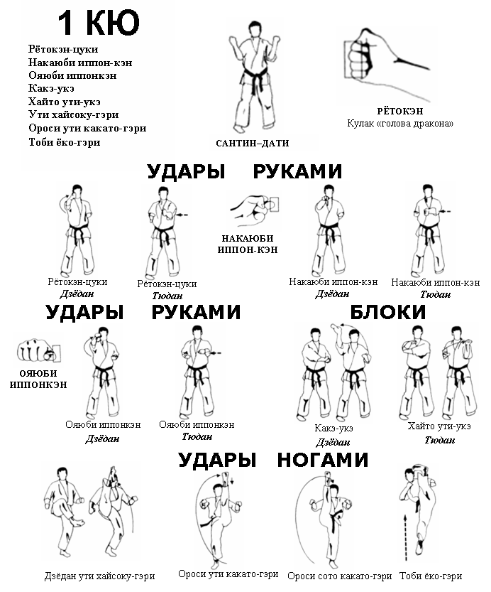 В мире го, древнейшей настольной игре, существует несколько способов оценки силы позиции Два из них – карта и кумитэ – часто вызывают путаницу у
