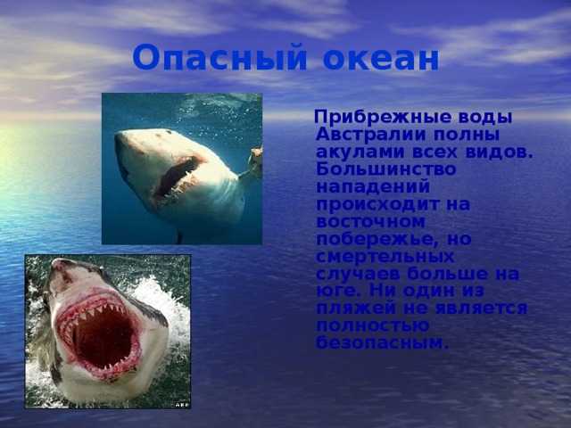 Бескрайний Тихий океан, самый крупный из всех мировых океанов, является популярным направлением для многих туристов Его кристально чистые воды,