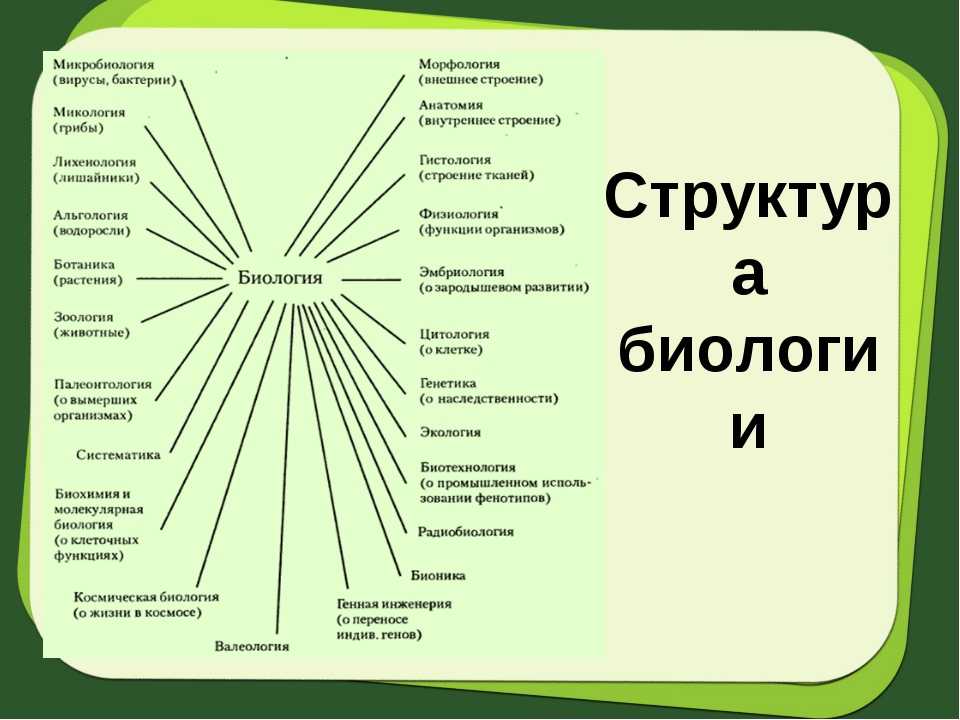 Науки о природе | человек и мир