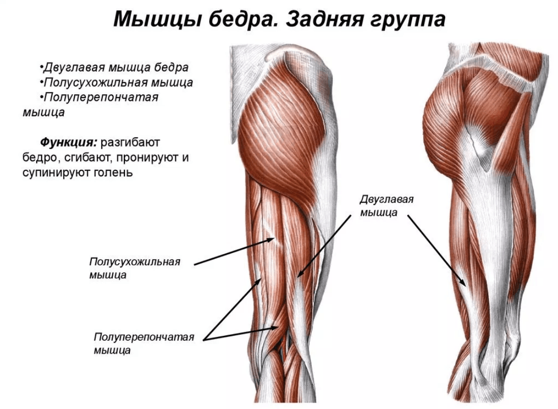«ляжка» или, может быть, «ляшка».