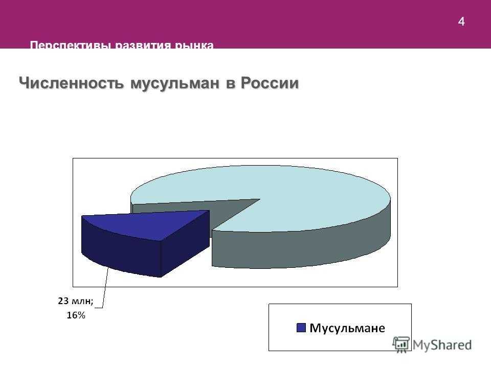 Население мусульман в мире 2023