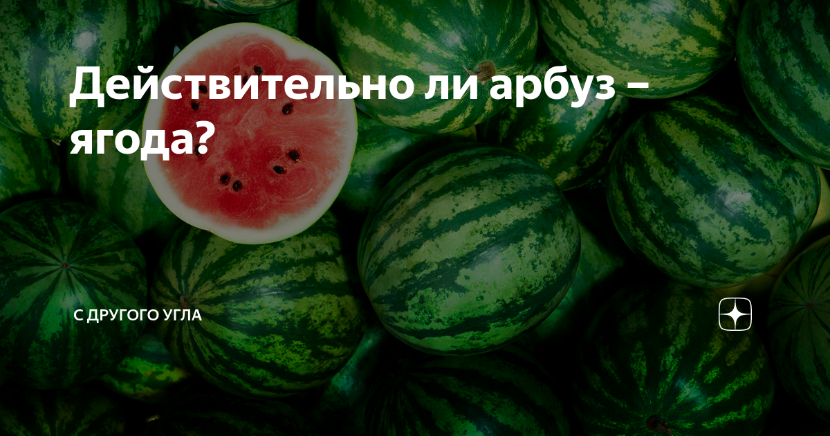 Арбуз: что это такое, где и как растет, калорийность, витамины, польза, вред, как выбрать и хранить