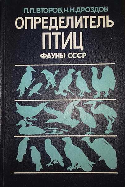 Сова птица. описание, особенности, виды, образ жизни и среда обитания совы | живность.ру