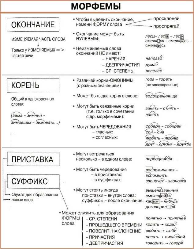 Разница между морфемой и алломорфом - разница слово - 2023