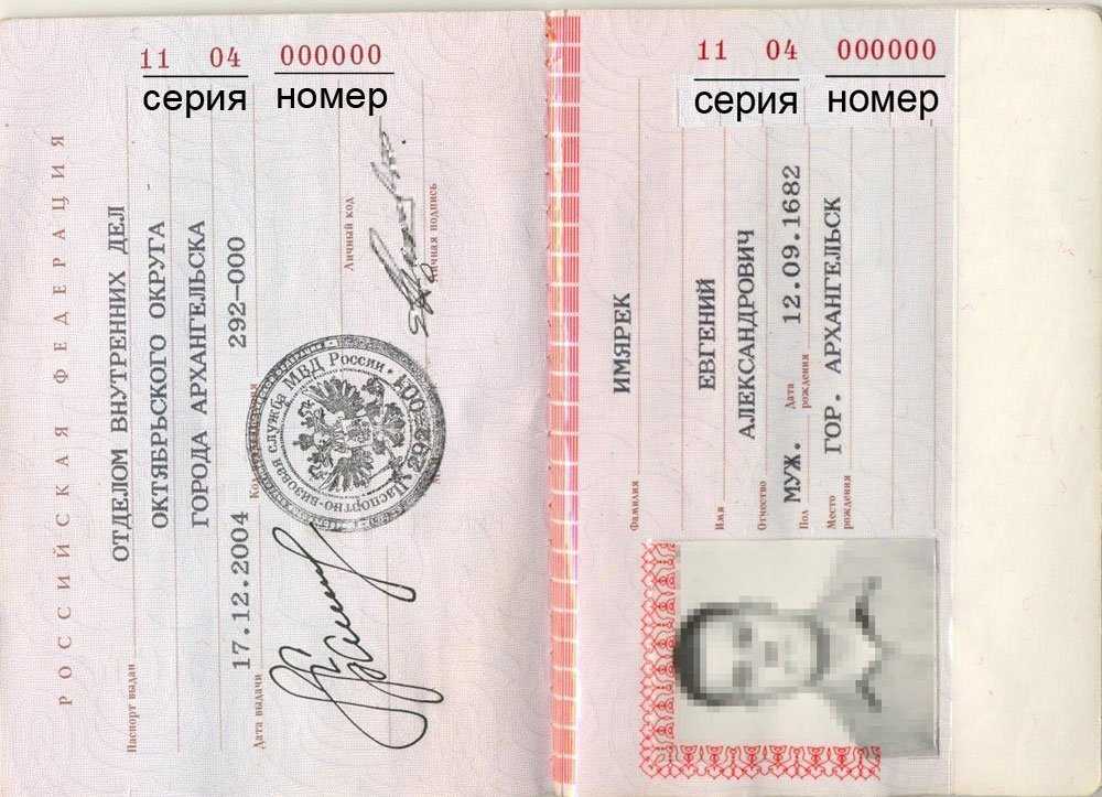 Где можно посмотреть информацию о серии и номере паспорта