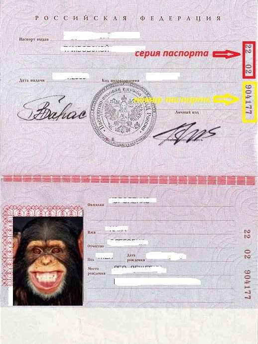 Серии и номера паспортов: где находятся, где могут быть затребованы
