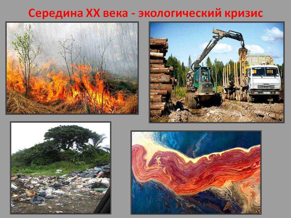 Багровые реки. крупнейшие экологические катастрофы россии и их последствия