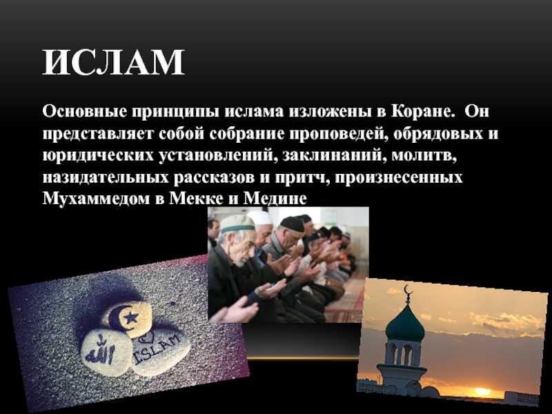 Почему люди во всем мире обращаются к исламу: узнайте причины