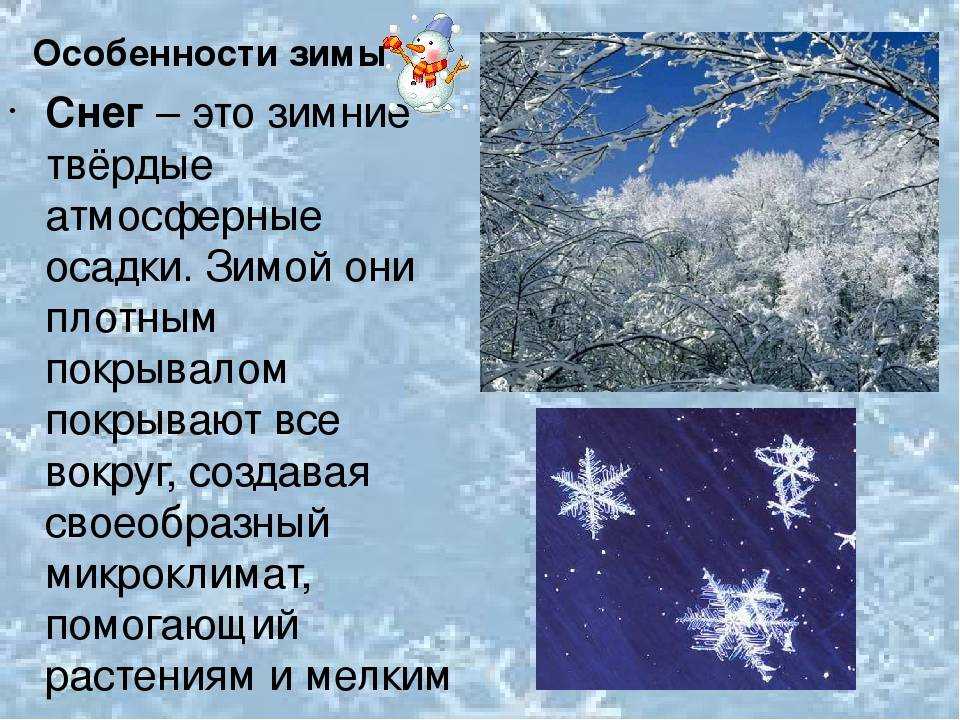 Когда ожидать выпадения снега в этом году: прогноз даты и важные факторы