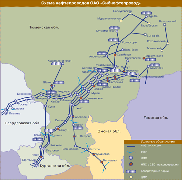 В чем разница между nps td и nps bu?