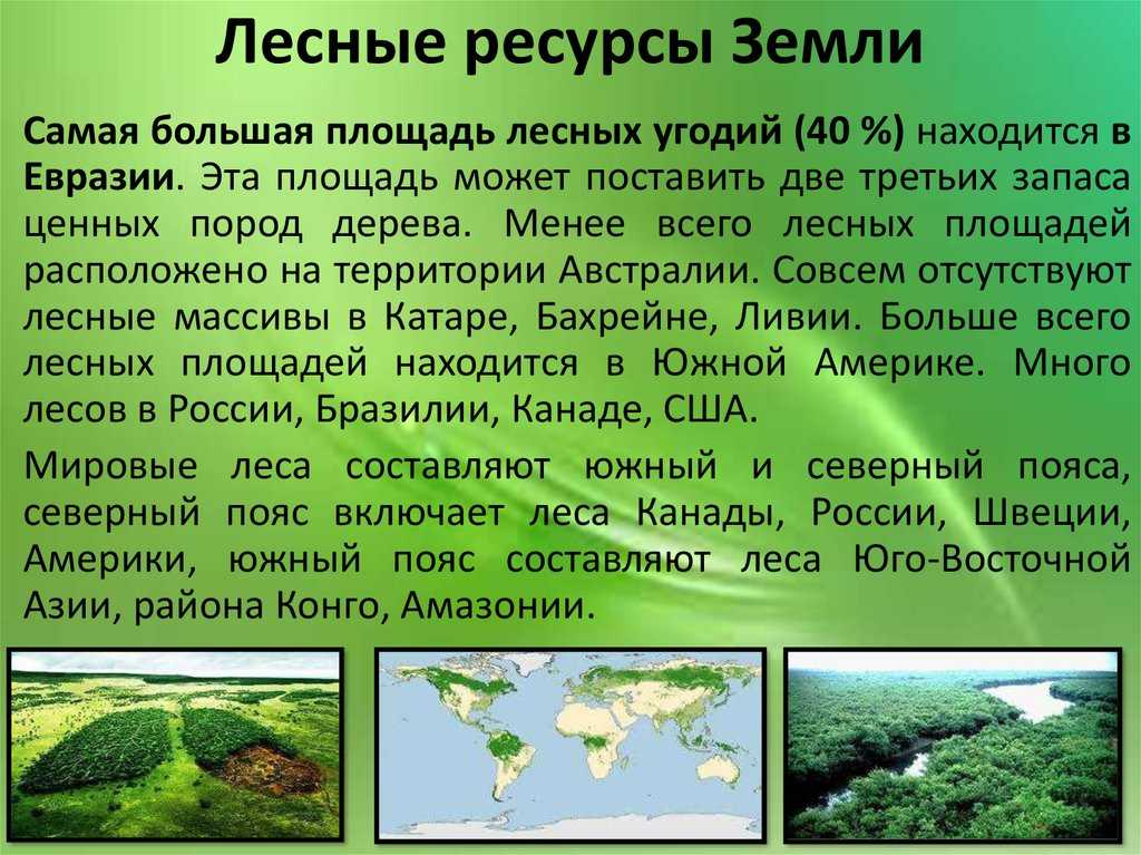 Что такое лесная промышленность